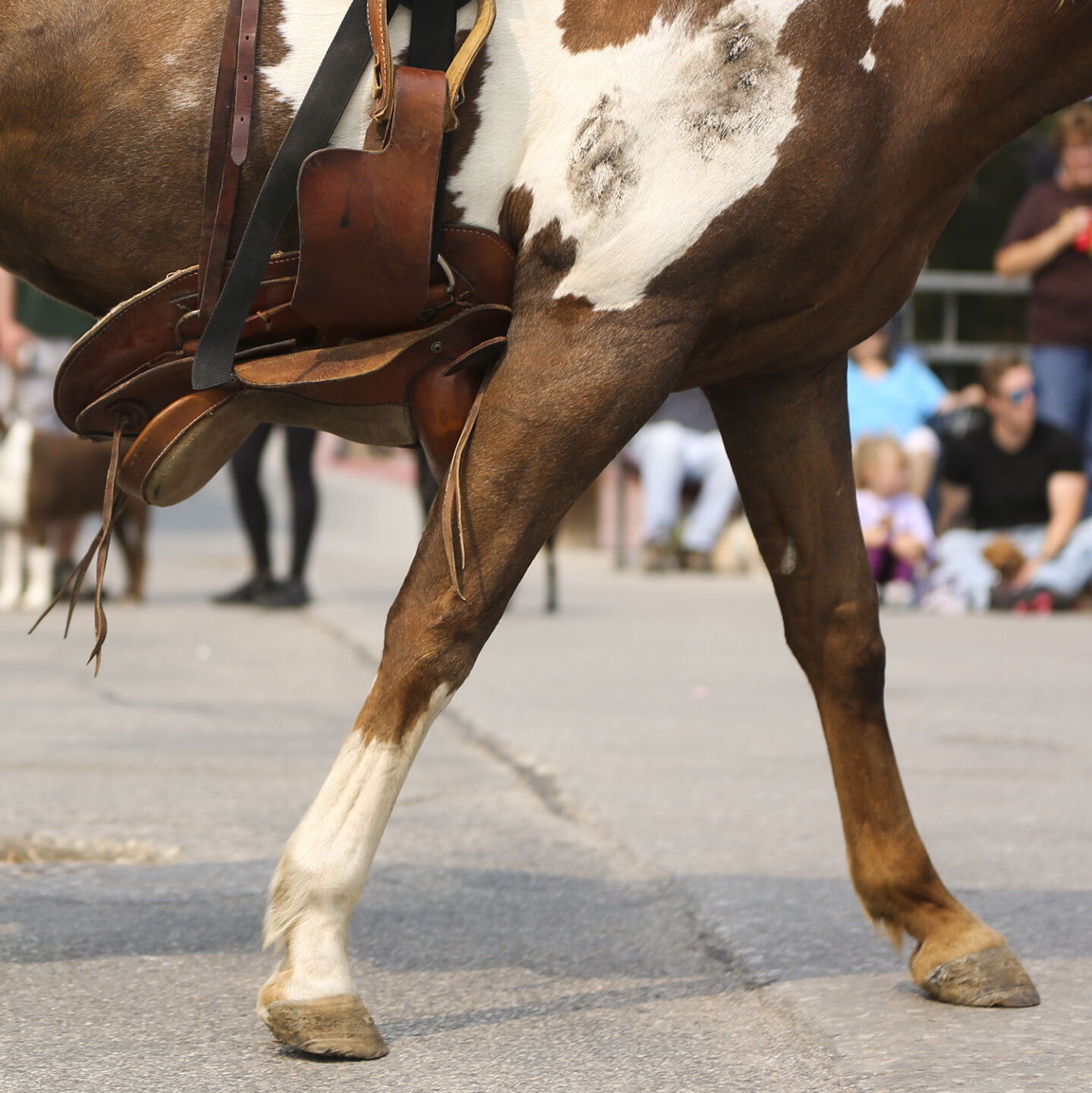 The annual Johnson County Fair and Rodeo Parade brought visitors out to celebrate